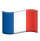 France Flag